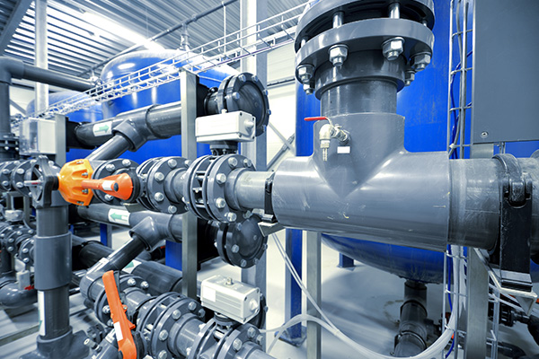 Struktur dan ciri injap biasa